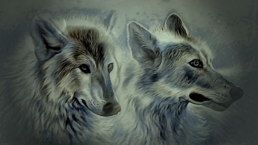 1223958 (a): :1920x1080